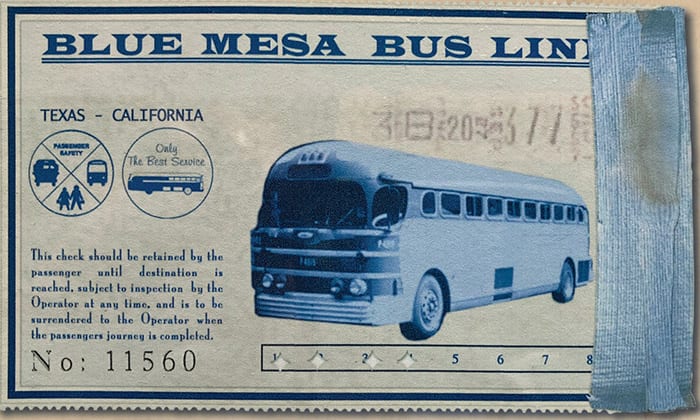 Blue Mesa Bus graphic design