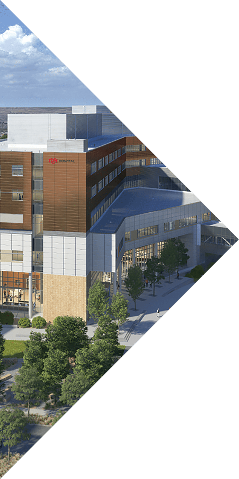 form-and-function-5 aerial shot of campus in a triangular frame