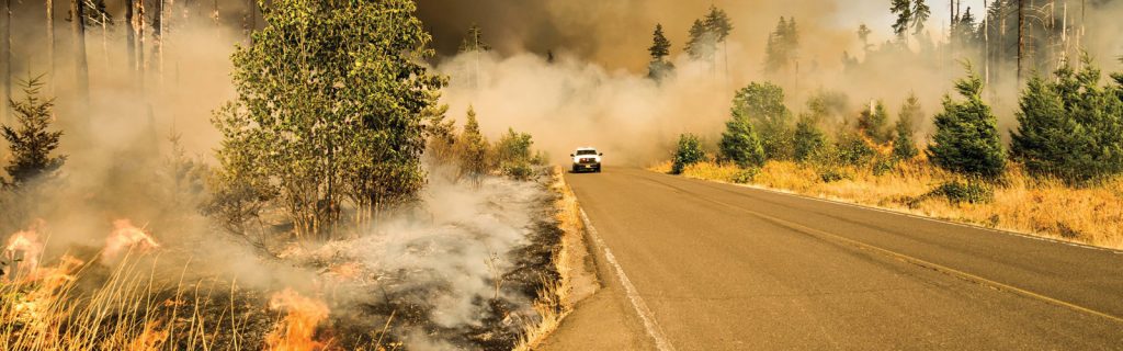 smoke engulfs a forest road and an emergency truck from a smoldering wildfire
