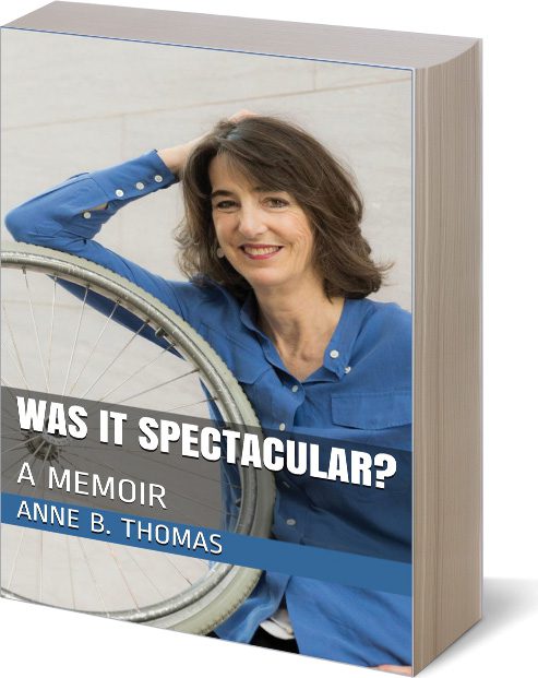 Was-it-Spectacular Was it Spectactular cover