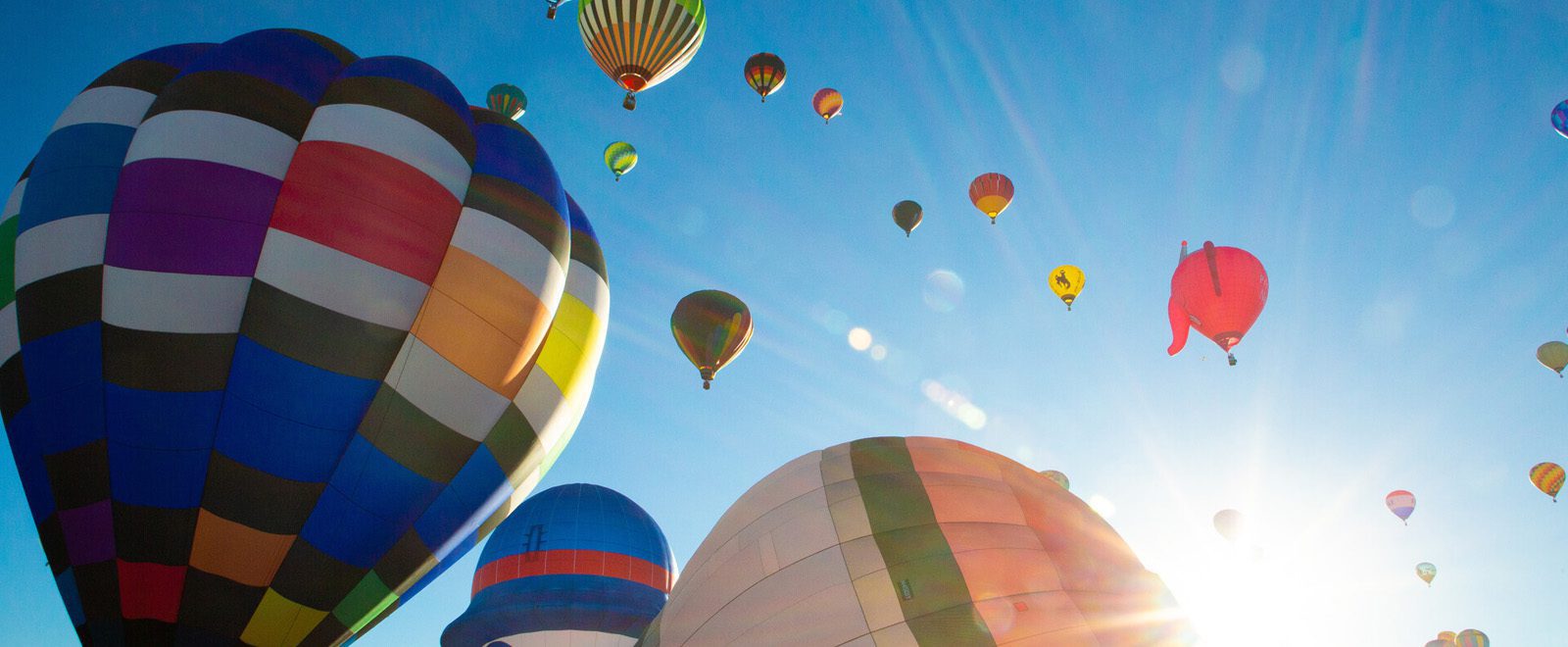 colorful hot air balloons at the Albuquerque Balloon Fiesta