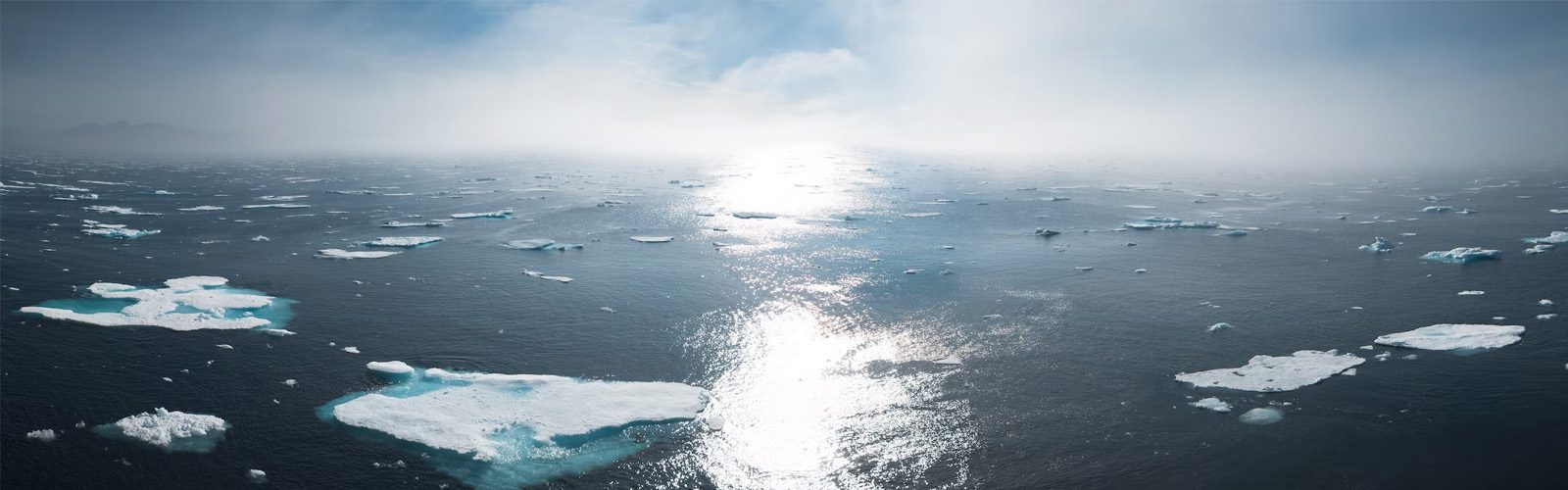 ice floating in the ocean